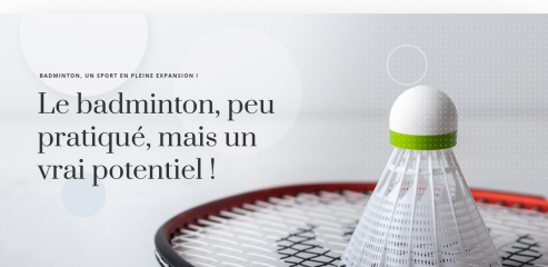 https://www.bad-minton.info